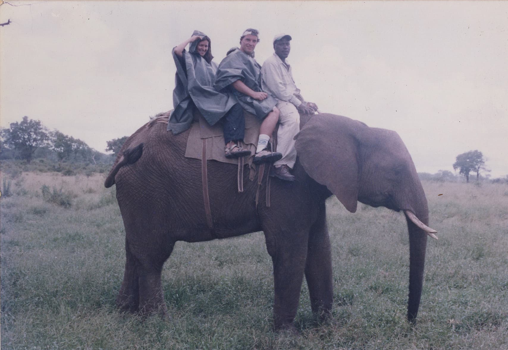 Reizen en werken in het buitenland