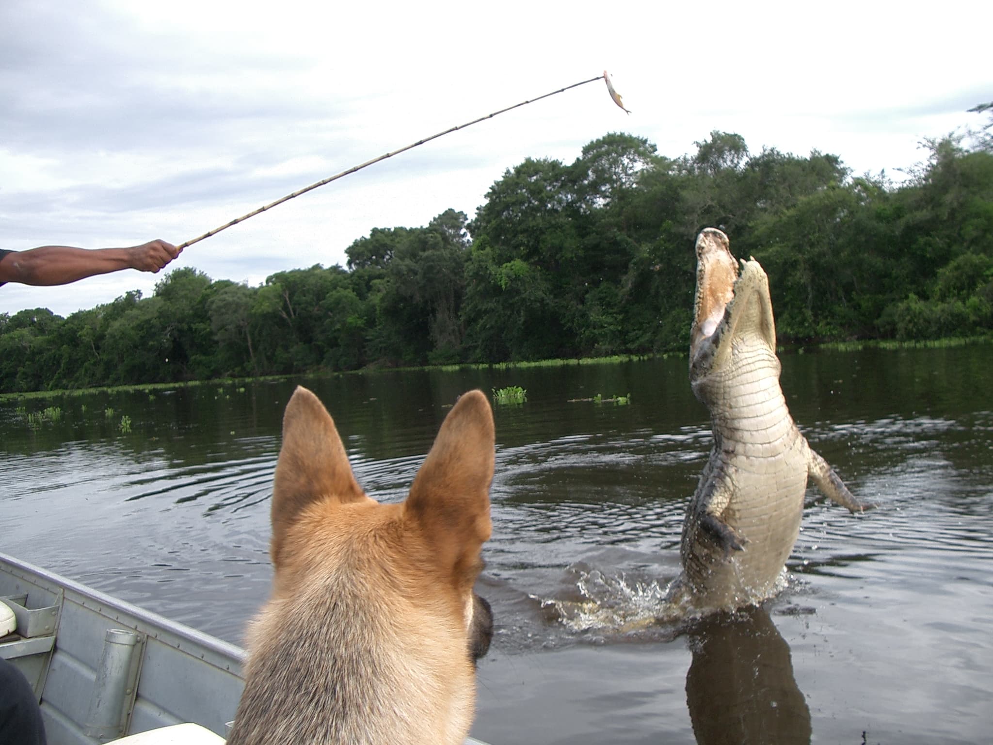 Reizen en werken in het buitenland